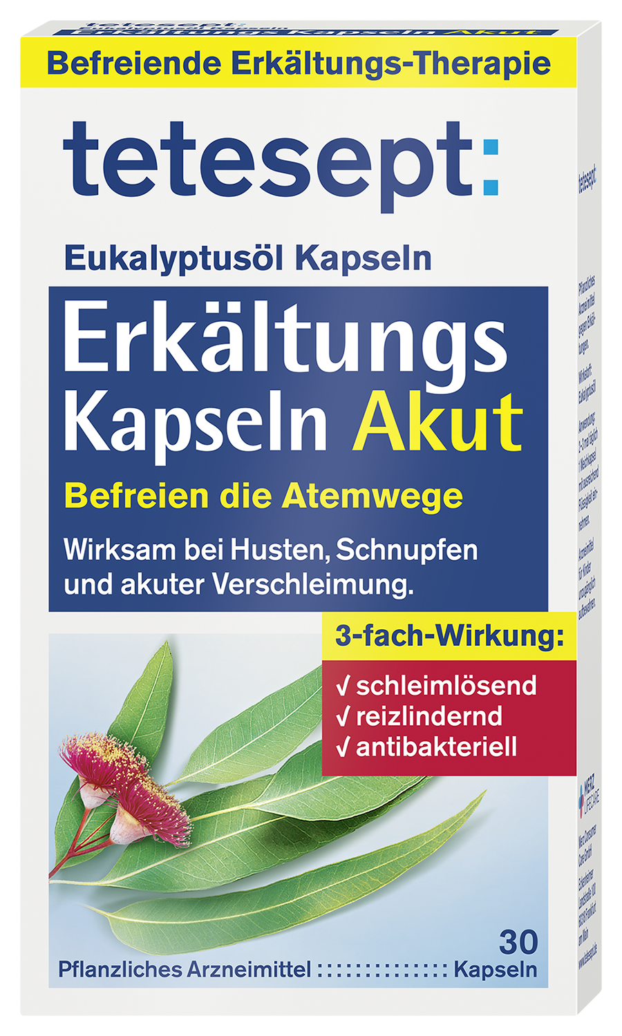 Erkältungs Kapseln Akut
