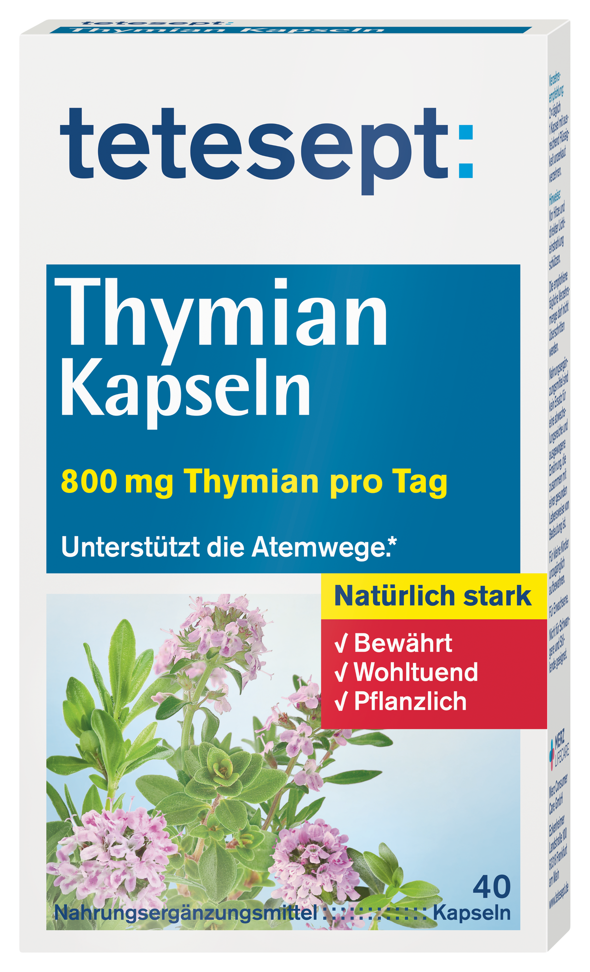 Thymian Kapseln