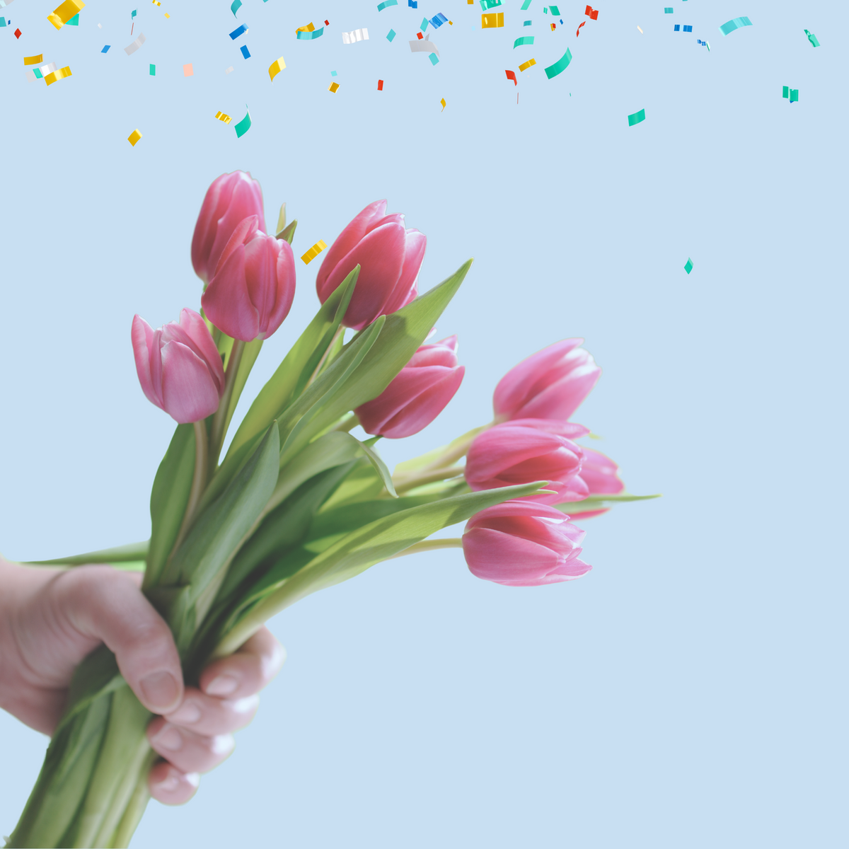 Eine Hand, die rosa Tulpen hält, während über ihr buntes Konfetti vor einem hellblauen Hintergrund herabfällt.
