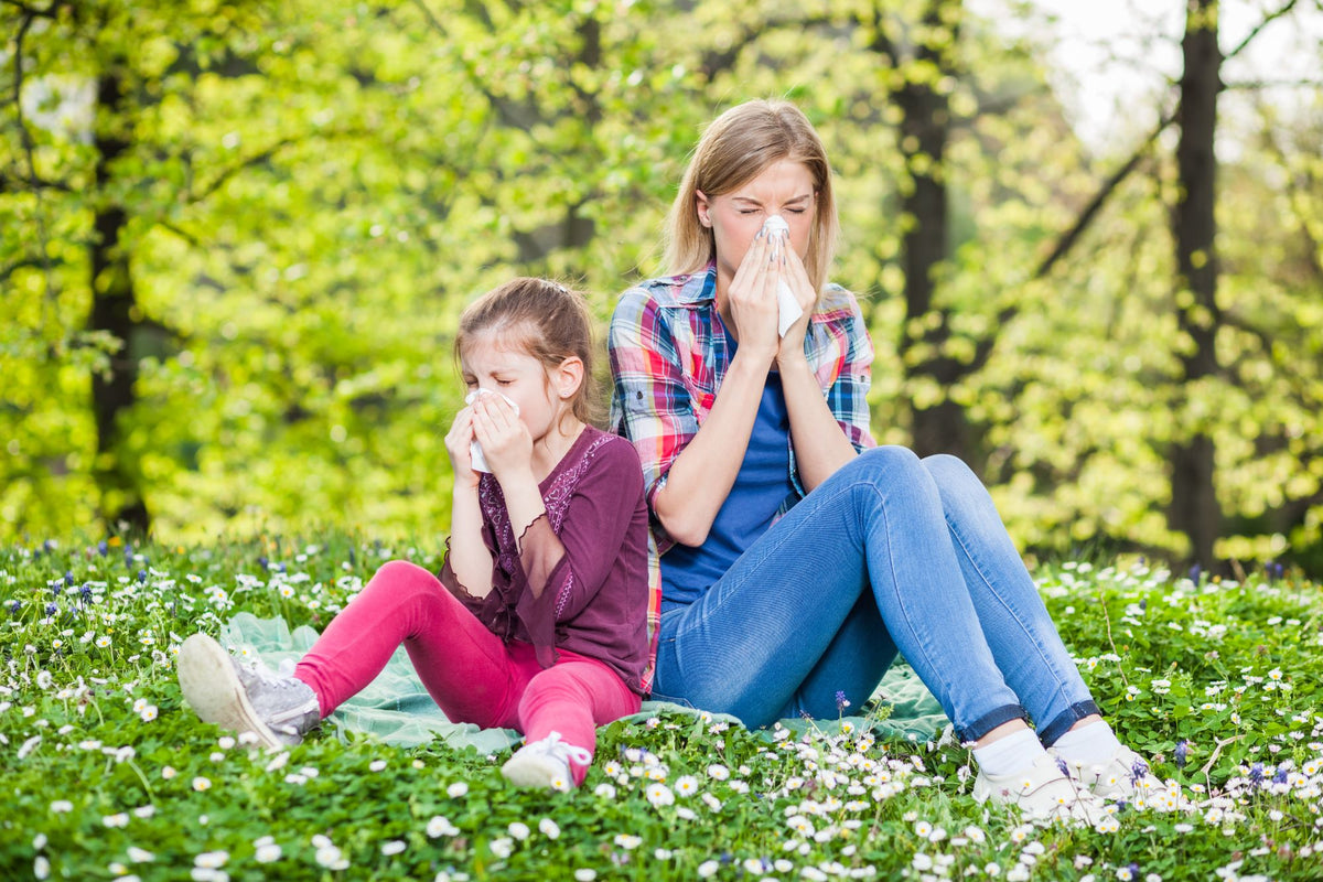 Eine Frau und ein junges Mädchen sitzen im Gras und niesen beide in Taschentücher – an einem strahlend sonnigen Tag im Park.